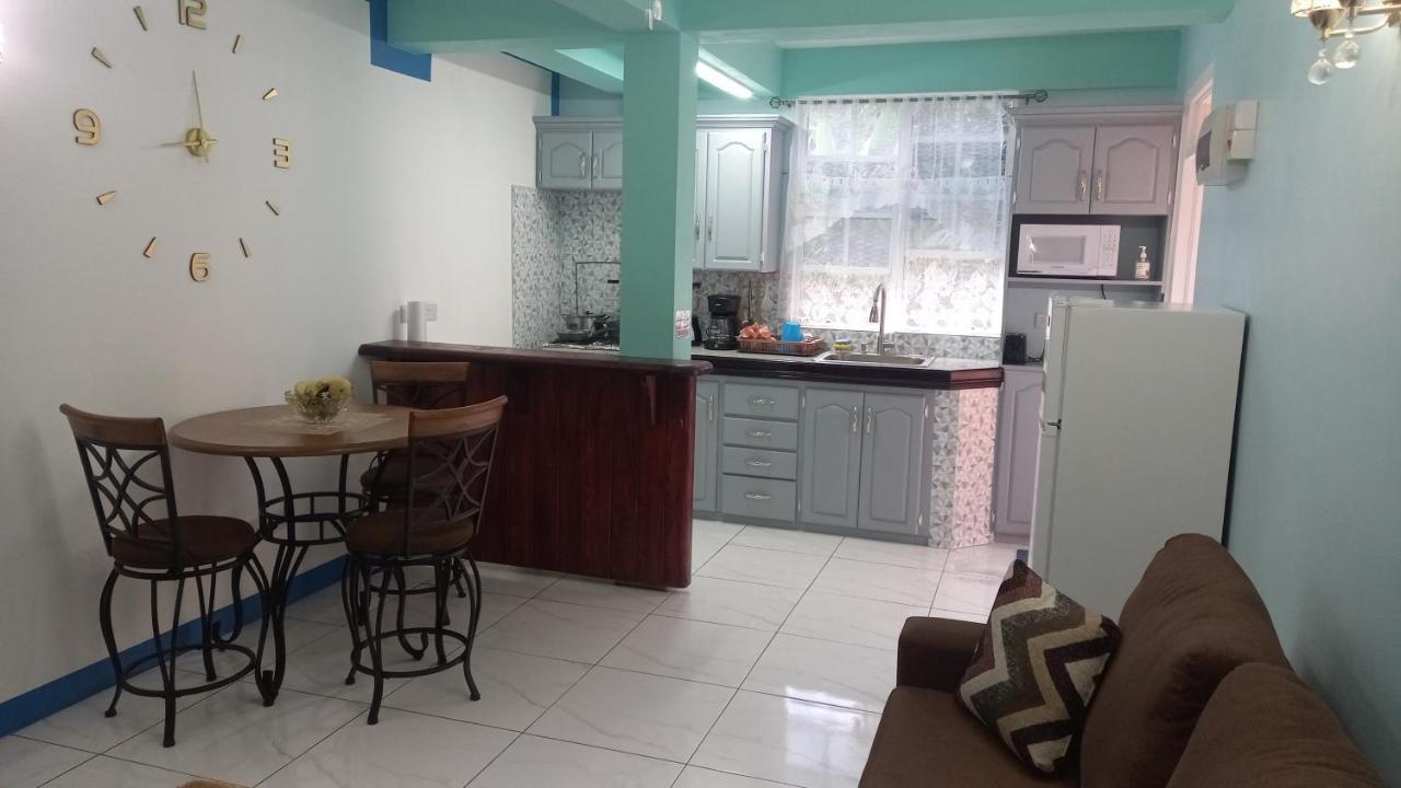 Cozy Vacation Retreat With Free Parking Leilighet Roseau Eksteriør bilde